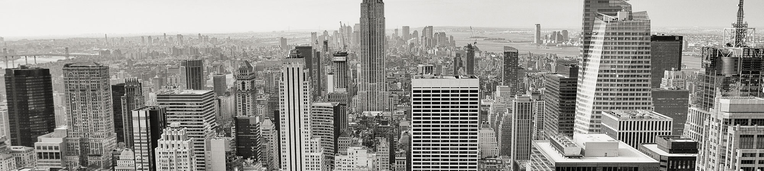 top-image